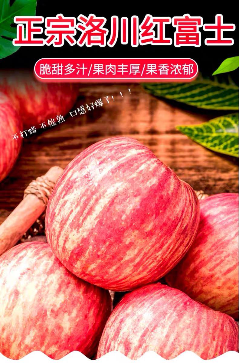 陕西正宗洛川苹果9-10斤